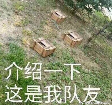 ����һ�������Ҷ�����ʲô������ʲô��˼��[��ͼ]