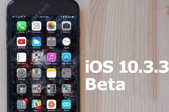 iOS10.3.3 Beta5ô£iOS10.3.3 Beta5ôͼƬ1
