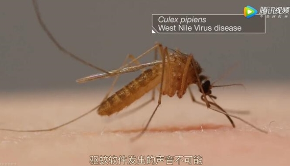 �ֻ�App������������ֻ�App������Ч����[��ͼ]