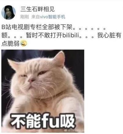 Bվ���Ӿ�ר�����¼���Ϊʲô��Bվ���Ӿ�ר��ΪʲôҪȫ���¼ܣ�[ͼ]