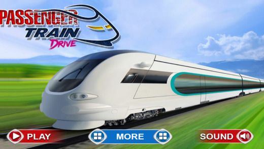 Passenger Train Drive Proΰ׿  v1.0ͼ4