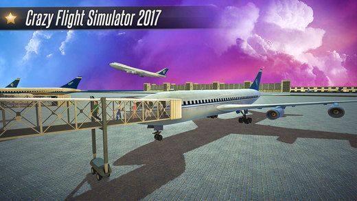 Crazy Flight Simulator 2022İ׿  v1.0ͼ1