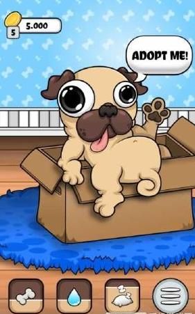 ҵĳﹷϷ׿桶 My Virtual Pet Dog Pug  v1.1ͼ1