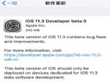 iOS11.3 beta5ļٷ