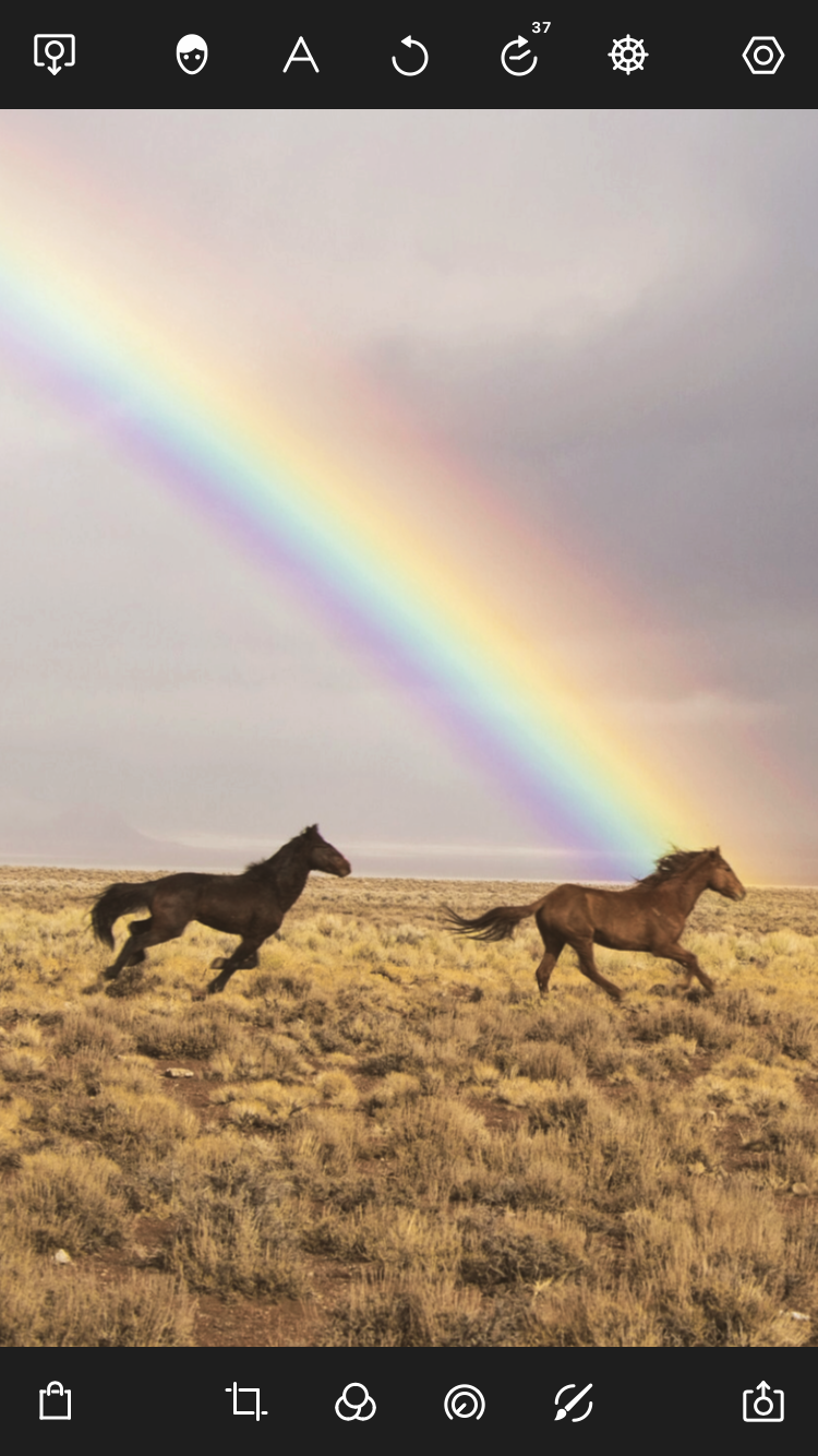 泼辣修图下载安装手机版图片1
