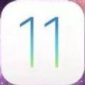 iOS11.3.1ʽļapp