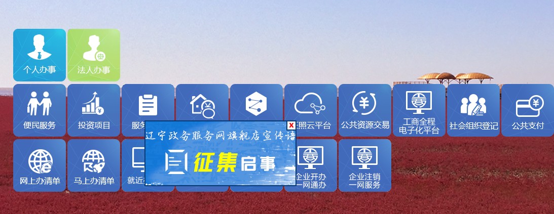 辽宁政务服务网官网app手机版下载图片1