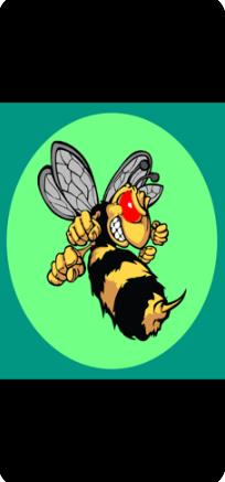 аƷϷİ׿棨Big Bad Wasps  v1.0ͼ2