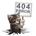 404影视视频