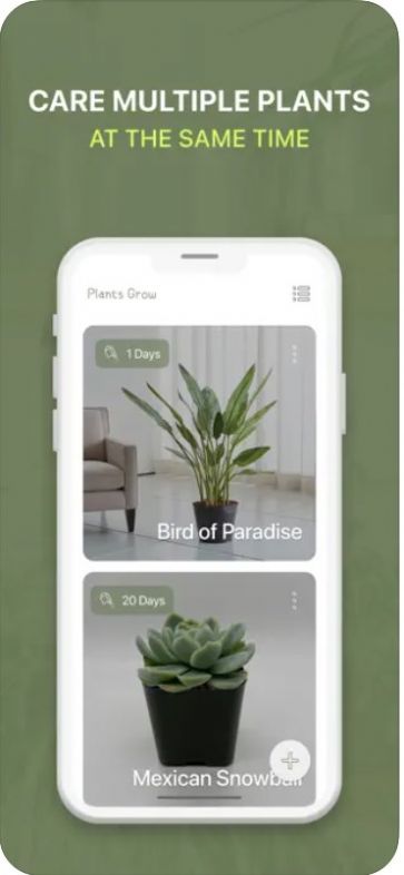 Plants GrowӰapp  1.0ͼ3