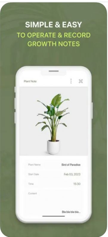 Plants GrowӰapp  1.0ͼ1