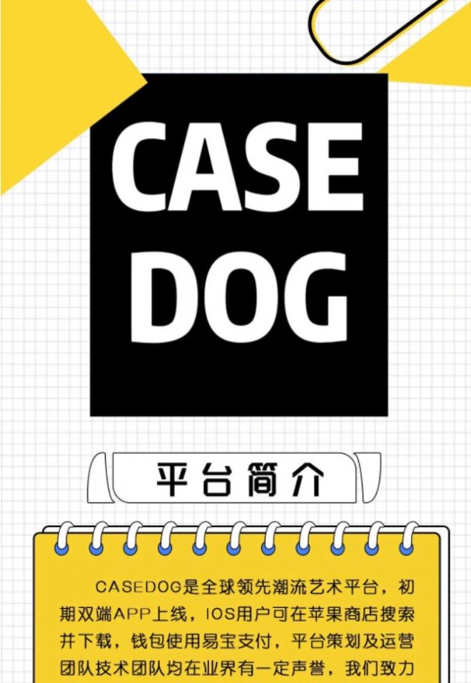 CasedogֲƷappٷ  1.0.0ͼ2