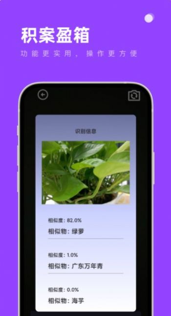 ӯ乤app°  v1.0.0ͼ1