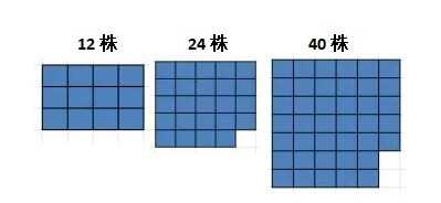 ĶСӽôŪӽķ[ͼ]ͼƬ2