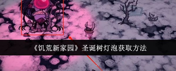饥荒新家园圣诞树灯泡在哪里 新家园圣诞树灯泡如何获取[多图]图片1