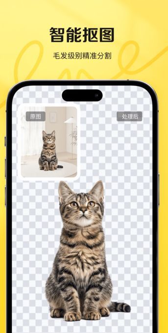 ͼappٷ  v1.0.0ͼ1