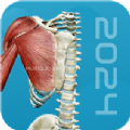 3D肌肉解剖软件