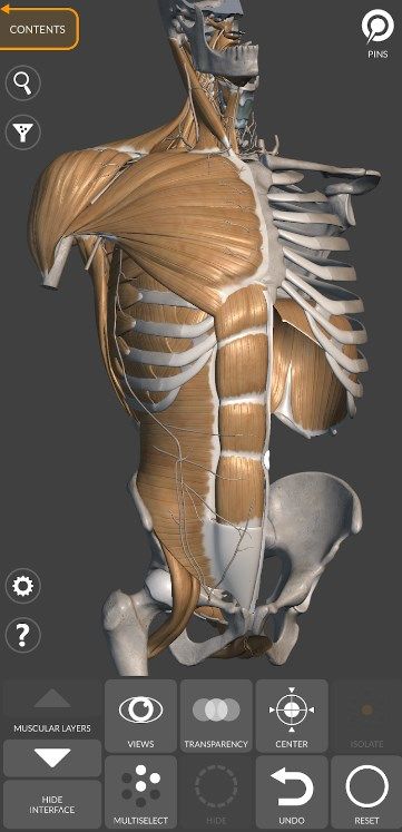 3d anatomy for the artist mod apk for Android Download  v6.0.0ͼ1