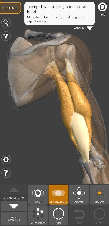 3d anatomy for the artist mod apk for Android Download  v6.0.0ͼ3