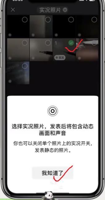 ΢ʵliveͼ׿8.0.51ͼƬ6