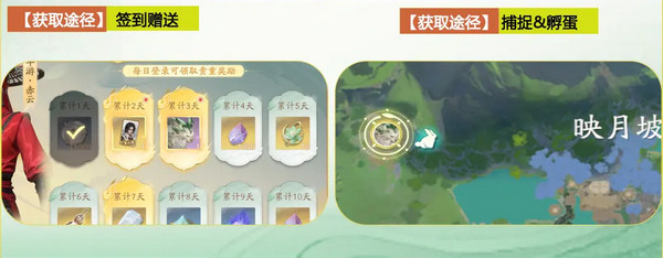 ɽ糤籪 籪[ͼ]ͼƬ2
