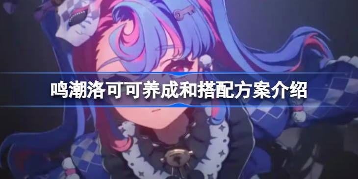 鸣潮洛可可培养攻略 洛可可如何养成搭配