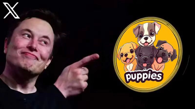 puppies puppiesҹƽ̨ô[ͼ]ͼƬ1