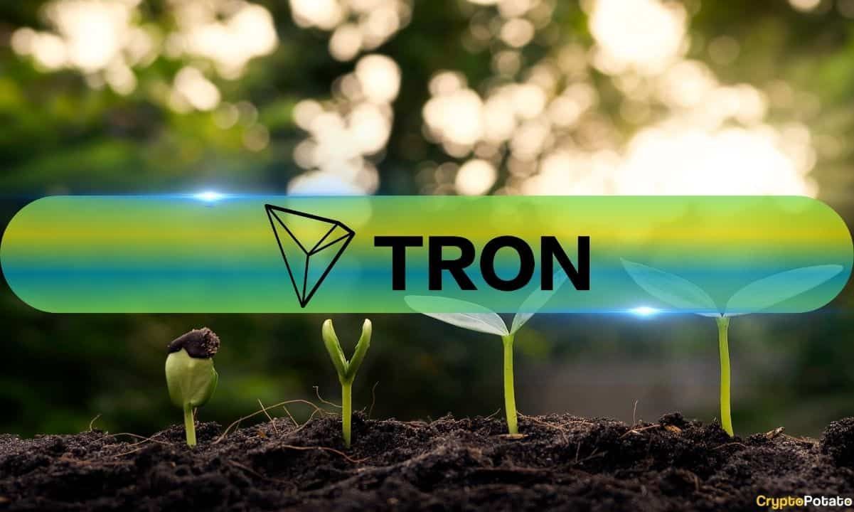 Tronó̷USDTռ2024Defi Hub[ͼ]ͼƬ1