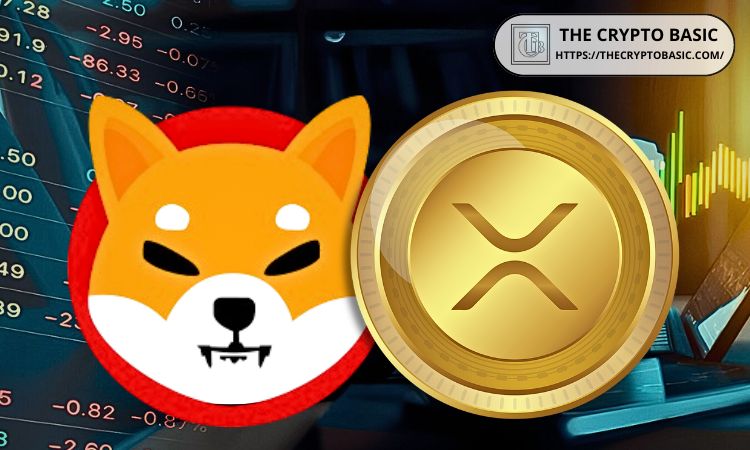 Shiba InuSHIBֵXRPˮƽʱ 1ǧԪر[ͼ]ͼƬ1