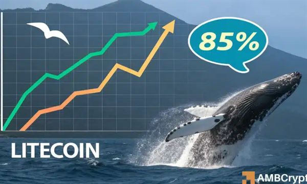 رҾɨ100LTC 2025ӭAltcoin ETF[ͼ]ͼƬ1