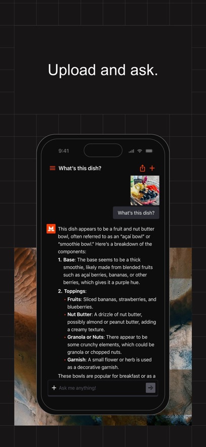 Mistral AI Le ChatٷѰ  v1.0.2ͼ1