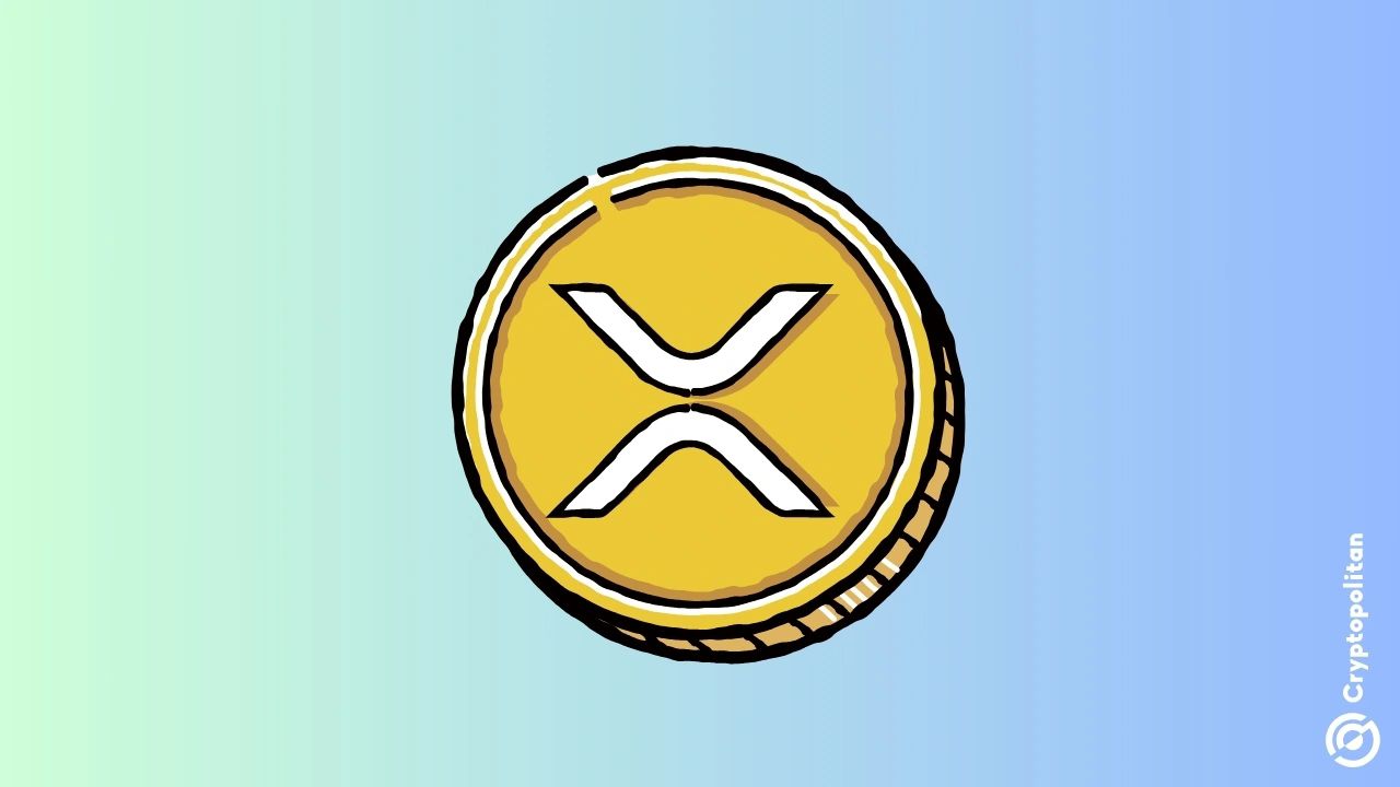 𲨱ƶXRPվݼƻ RippleXRPվݼƻ[ͼ]ͼƬ1