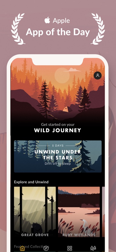 wildjourneyذװ2025°ͼƬ3